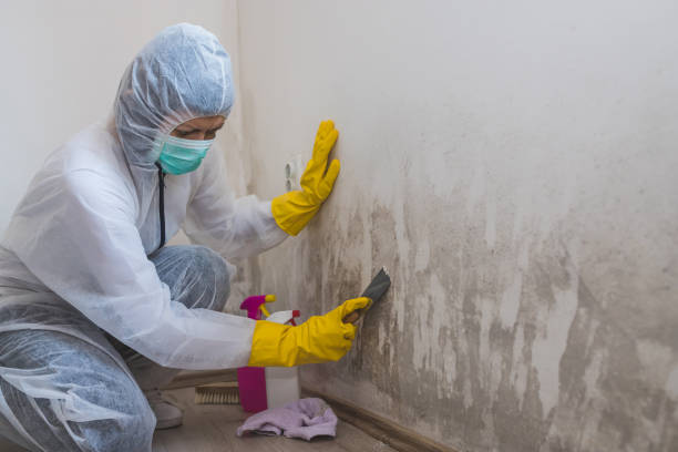 Mold Documentation for Insurance Claims in Fort Mill, SC